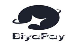 TP观察钱包的功能与作用解析：如何提升你的数字