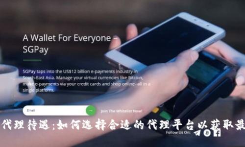 虚拟币代理待遇：如何选择合适的代理平台以获取最大收益