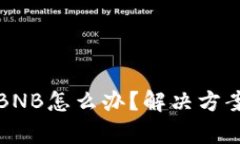 TP钱包没有BNB怎么办？解决方案与使用技巧