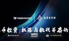 探索衡阳虚拟币投资：机遇与挑战并存的数字资
