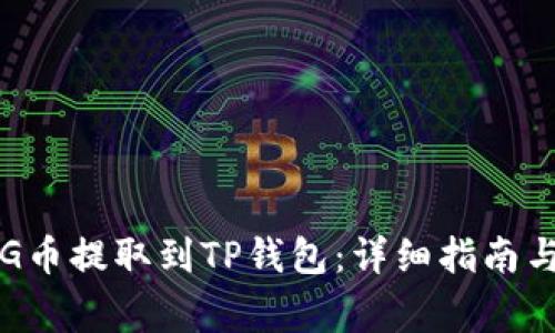 如何将BIG币提取到TP钱包：详细指南与注意事项