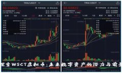 探索WSCT虚拟币：未来数字资产的潜力与前景