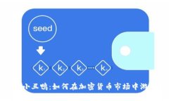 虚拟币小丑鸭：如何在加密货币市场中游刃有余