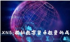 虚拟币XNB：揭秘数字货币投资的成功秘诀