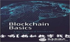 TP钱包里的钱安全吗？揭秘数字钱包的安全性与风