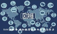 BXK虚拟币：揭秘数字货币的未来与潜力