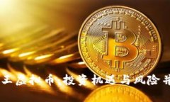 深入解析SC海王虚拟币：投资机遇与风险并存的数