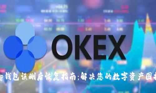 tp钱包误删后恢复指南：解决您的数字资产困扰