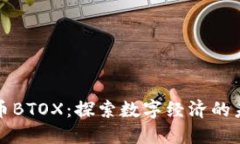 虚拟货币BTOX：探索数字经济的未来机遇