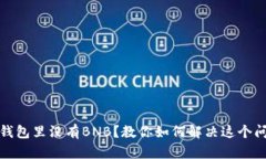 TP钱包里没有BNB？教你如何解决这个问题