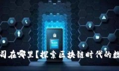 TP钱包的公司在哪里？探索区块链时代的数字资产