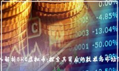 深入解析BHC虚拟币：探索其背后的技术与市场潜