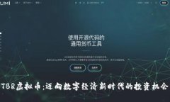 TBR虚拟币：迈向数字经济新时代的投资机会
