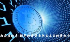 大鼎虚拟币：探寻数字货币的未来与投资机会