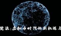 重生楚浪：虚拟币时代的新机遇与挑战