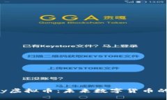 探索Kopay虚拟币：未来数字货币的先锋之路