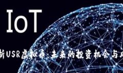 深入分析USR虚拟币：未来的投资机会与风险评估