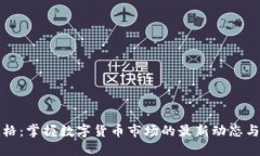 虚拟币币格：掌握数字货币市场的最新动态与未