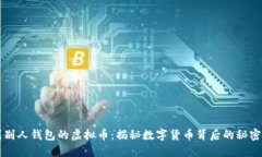 看不到别人钱包的虚拟币：揭秘数字货币背后的