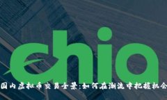 国内虚拟币交易全景：如何在潮流中把握机会