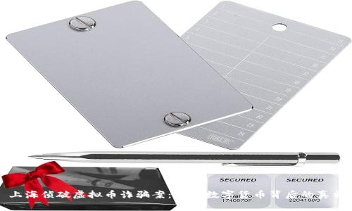 上海侦破虚拟币诈骗案：揭开数字货币背后的真相