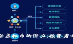 如何评估虚拟币的潜力：投资者必备指南