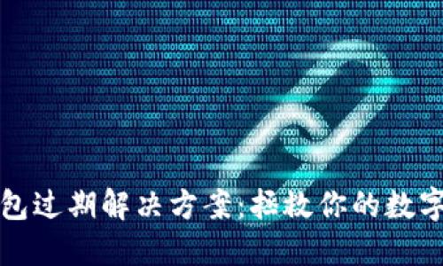 TP钱包过期解决方案：拯救你的数字资产