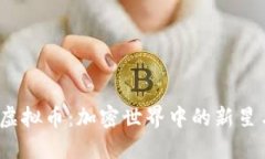 探索MAZE虚拟币：加密世界中的新星与投资机遇