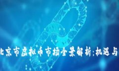 2023年北京市虚拟币市场全景解析：机遇与挑战并