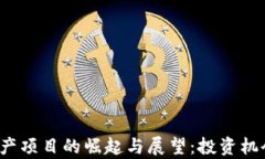 2023年虚拟币国产项目的崛起与展望：投资机会与