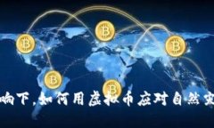 洪水的影响下，如何用虚拟币应对自然灾害的挑