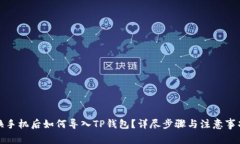 换手机后如何导入TP钱包？详尽步骤与注意事项