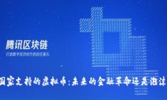 国家支持的虚拟币：未来的金融革命还是泡沫?