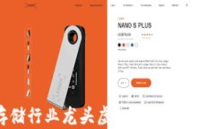 2023年存储行业龙头虚拟币的发展趋势与未来