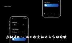 虚拟币Blok：新兴投资机遇与市场前瞻